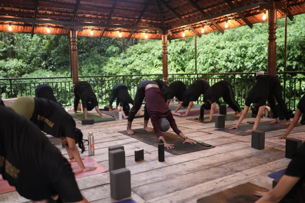 Types of Yoga Classes